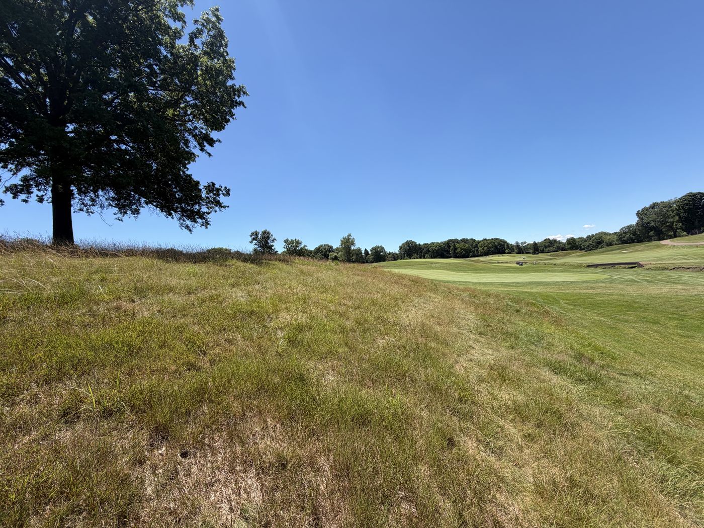 Treated native bank holding a crisp edge against the fairway
